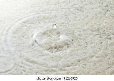 Rice And Water Drop