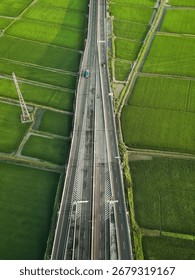ricefield in gresik, eastjava 2025