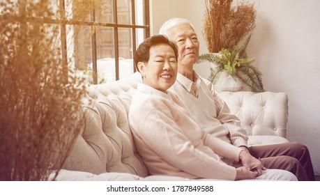 Rich Asian Elder Senior Couple Stay Home For Lockdown Together Well Being Family