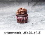 A rich chocolate cupcake topped with creamy,swirled chocolate frosting, placed on a light grey surface. The cupcake liner features pink decorative patterns