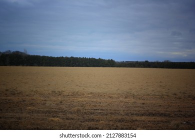 Rich Golden Farm Fields Of Rural 
Wisconsin.