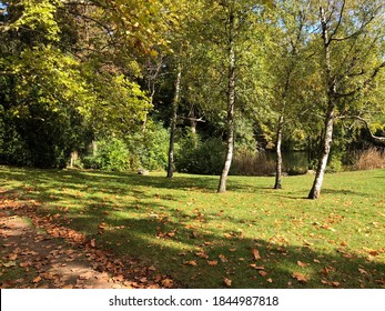 Rich green grass with trees and some fallen leafs on a small footpath in early autumn