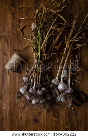 Similar – Image, Stock Photo Bunch of garlic with kitchenware on wooden background