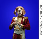 Rich. Model like medieval royalty person in vintage clothing headed by dog head on deep blue background. Concept of comparison of eras, artwork, renaissance, baroque style. Creative collage.