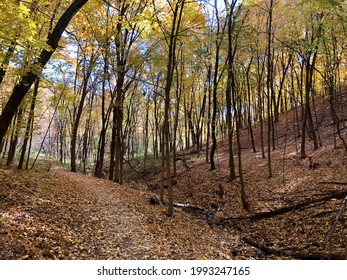 Richard T. Anderson Conservation Area Eden Prairie Minnesota