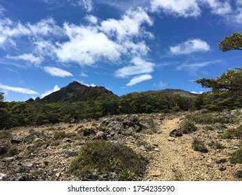 Richmond Range Hiking Te Araroa