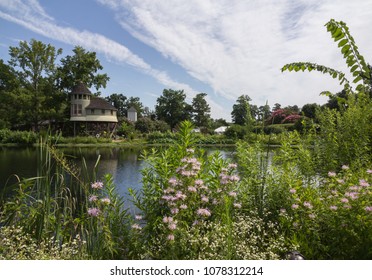 RICHMOND, VIRGINIA, USA - JUNE, 2016: Lewis Ginter Botanical Garden