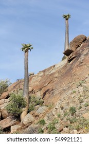 Richtersveld