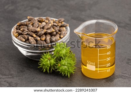 Ricinus communis seeds - Oil in laboratory container