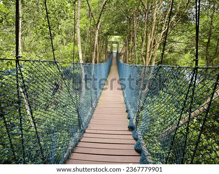 Rickety rope bridge at the mangrove forest