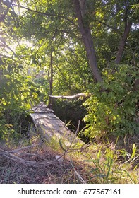 Rickety Wooden Bridge Across The River