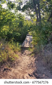 Rickety Wooden Bridge Across The River