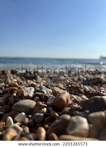 ricks on the brighton beach