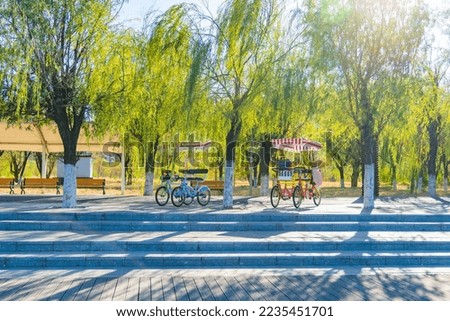 The rickshaw in the park