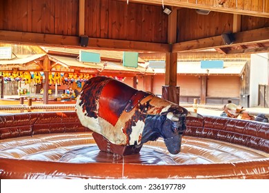 Ride  of the bull in park amusement.