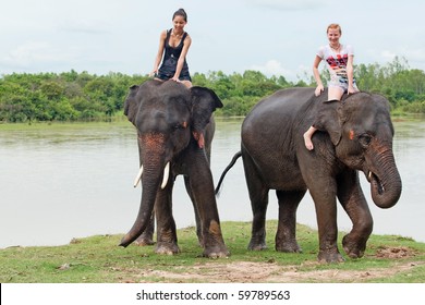 Ride An Elephant