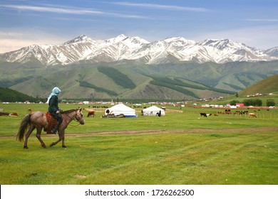 ride a horse in a large meadow at   Naryn of Kyrgyzstan 