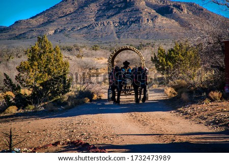 ride in a wagon pulled by two western horses