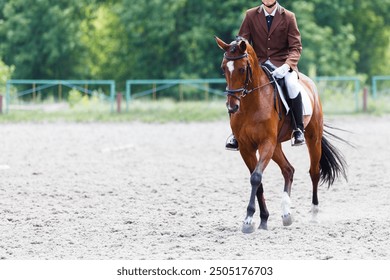 Rider in formal attire gracefully trotting a horse in an outdoor equestrian arena on a sunny day. - Powered by Shutterstock