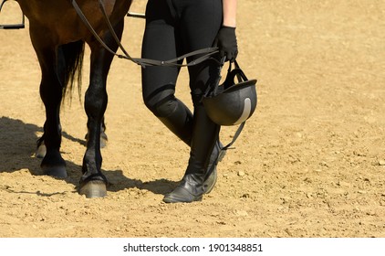 Rider and horse are standing on the training arena.