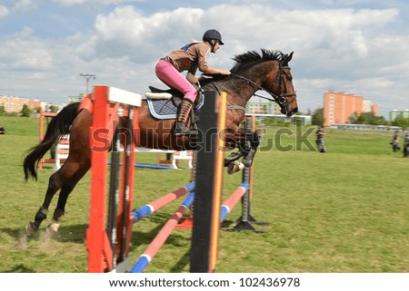 Similar – Image, Stock Photo Show jumper Show jumping