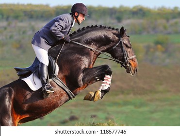 Rider On Bay Horse In Jumping Show