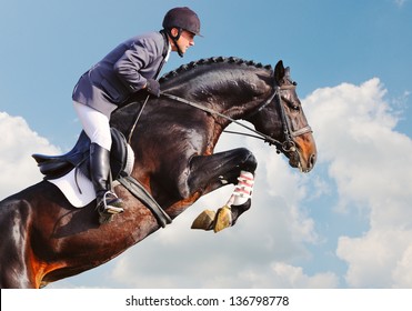 Rider on bay horse in jumping show