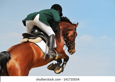 Rider On Bay Horse In Jumping Show