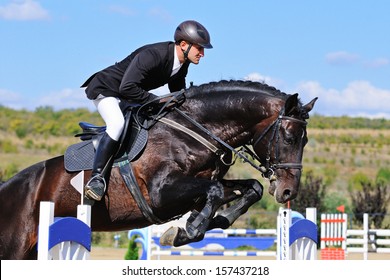 Rider On Bay Horse In Jumping Show