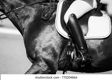 Rider On A Horse, Dressage. Black And White Photo