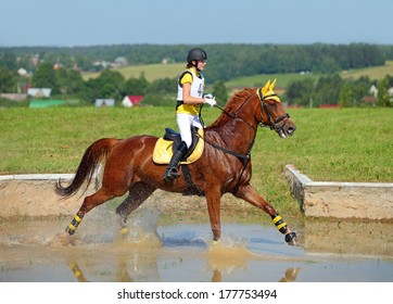 Rider On Horse At Equestrian Event