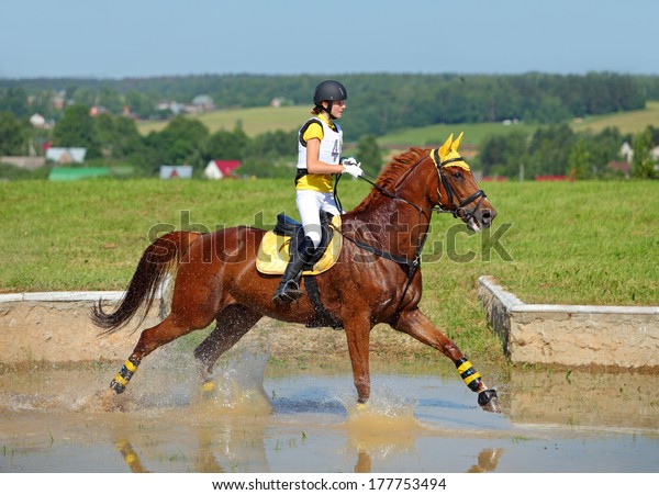 Rider on horse at equestrian\
event