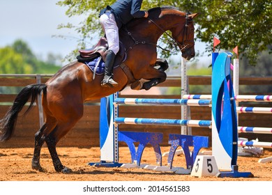 Rider on horse jumping over a hurdle during the equestrian event	