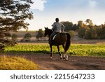 a rider in a riding suit on a big horse against the background of the fields. Healthy lifestyle and love for horses. A woman rides a beautiful red horse along the road. Horse riding and pet care.