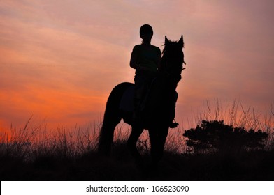 A Rider Silhouette on Horseback at sunset
