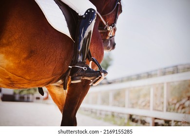 A rider sits on a beautiful bay horse in the saddle on a sunny summer day. Horse riding. Equestrian sports. - Powered by Shutterstock