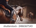 A rider is sitting on a bay horse in the saddle. Equestrian sports. Horse riding. Horse ammunition.