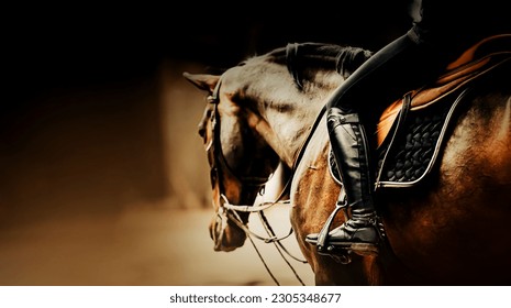  A rider is sitting on a beautiful bay racehorse in the saddle. Equestrian sports and horse riding. The ability to ride a horse.