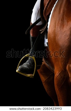 A rider's foot on brown horse looking forward closeup. A woman's horse riding booted foot standing in a gold stirrup of horse saddle isolated on black background.