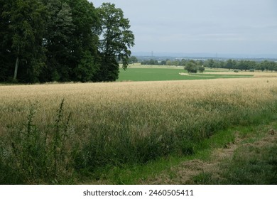 riders and pedestrians trot across the country lane on horseback - Powered by Shutterstock