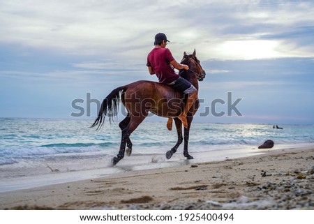 Rides horse along the ocean