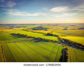 The Ridgeway At Letcombe In Oxfordshire Uk