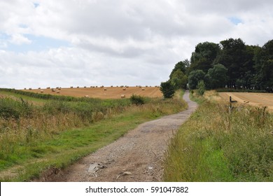 The Ridgeway Near Hackpen Wiltshire 