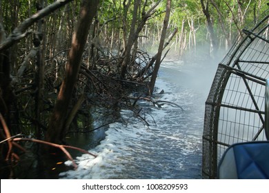 Riding Airboat Thru Mangroves In Florida