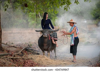 riding a buffalo