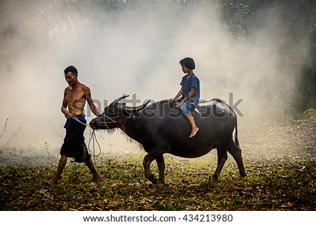 riding a buffalo