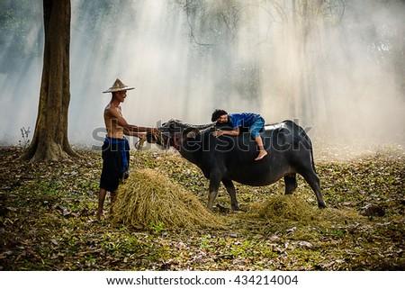 riding a buffalo