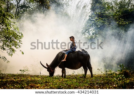 riding a buffalo