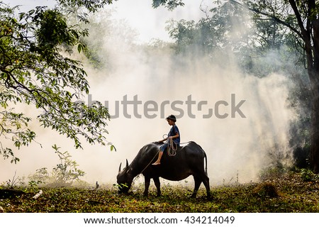 riding a buffalo