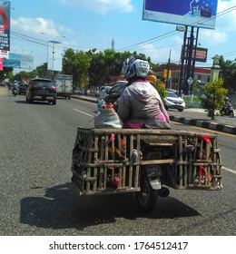 Riding Motorcycle By Bringing Chickens On Stock Photo 1764512417 ...